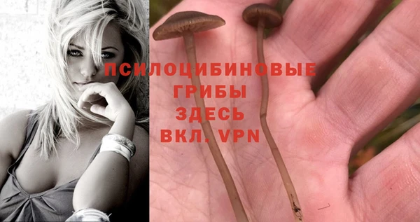 2c-b Белокуриха