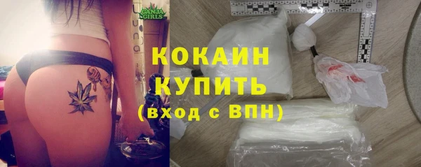 стаф Баксан