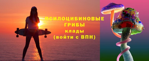 2c-b Белокуриха