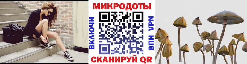 Псилоцибиновые грибы мухоморы  МЕГА ССЫЛКА  Олёкминск  площадка телеграм  наркошоп 